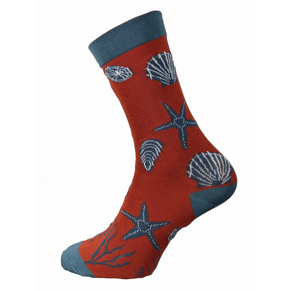 Red bamboo socks with blue heel toe and cuff, with seashells and starfish motif, size 7-11